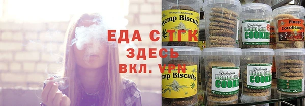 дживик Горняк