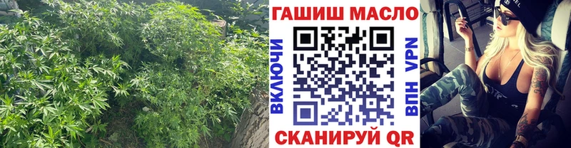 Купить где  Салаир  Дистиллят ТГК гашишное масло 