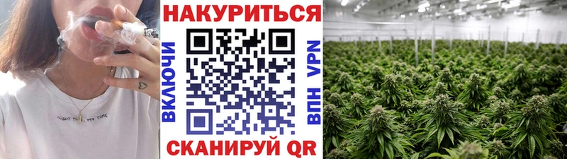 Канабис планчик Салаир